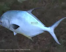 开云在线-瑆t业X皥鲹b?ハ娲順鵤